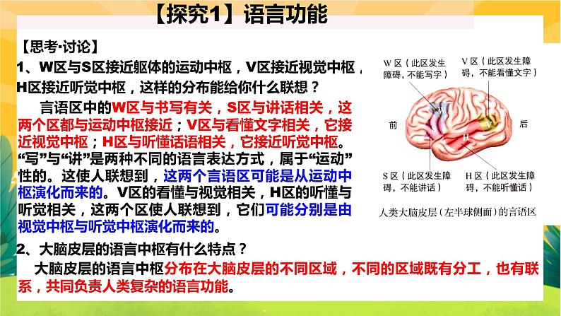 2.5人脑的高级功能（课件PPT）06