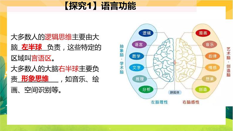2.5人脑的高级功能（课件PPT）07