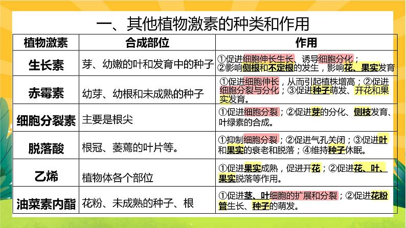 5.2 其他植物激素（课件PPT）05