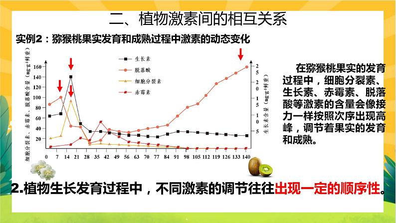 5.2 其他植物激素（课件PPT）08