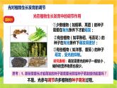 5.4 环境因素参与调节植物的生命活动（课件PPT）