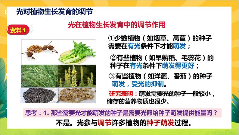 5.4 环境因素参与调节植物的生命活动（课件PPT）第3页