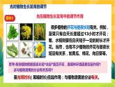 5.4 环境因素参与调节植物的生命活动（课件PPT）