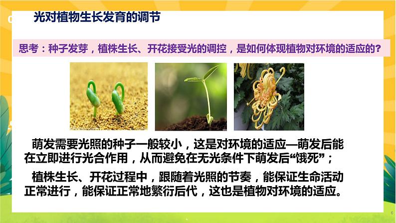 5.4 环境因素参与调节植物的生命活动（课件PPT）第6页