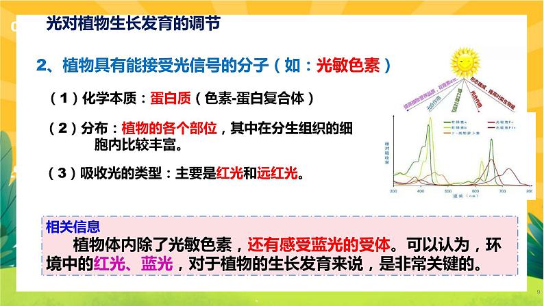 5.4 环境因素参与调节植物的生命活动（课件PPT）第8页