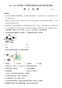 2023维吾尔自治区和田地区民丰县高二上学期期中生物试题含答案