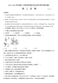 2023维吾尔自治区和田地区洛浦县高二上学期11月期中考试生物试题含答案