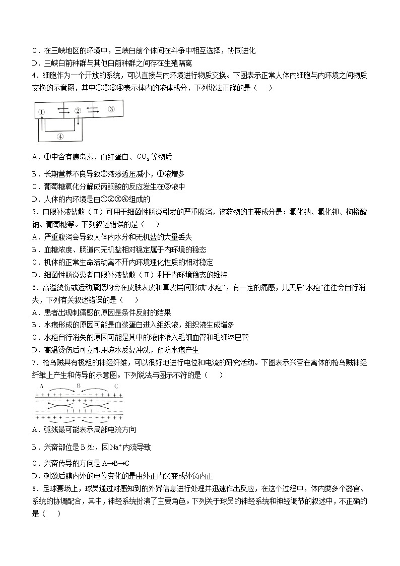 湖北省部分高中联考协作体2022-2023学年高二上学期期中考试生物试题含答案第2页