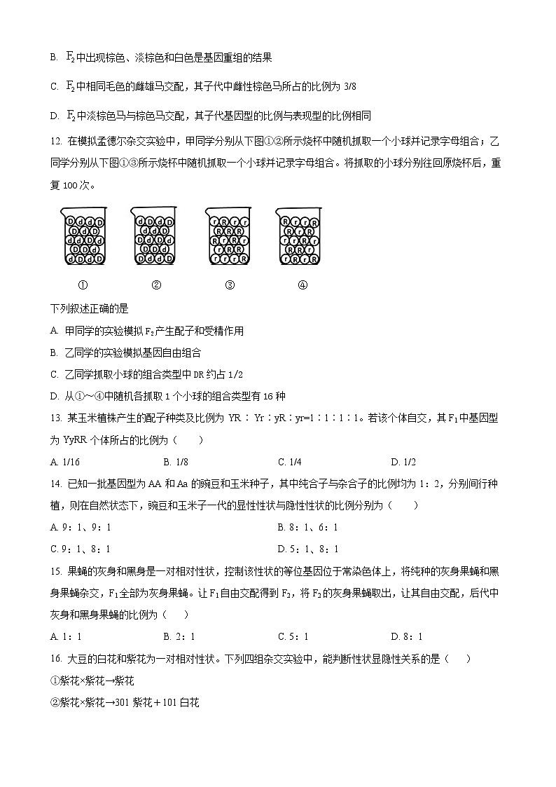 新疆塔城市第三中2022-2023学年高二上学期第一次月考生物试题无答案第3页