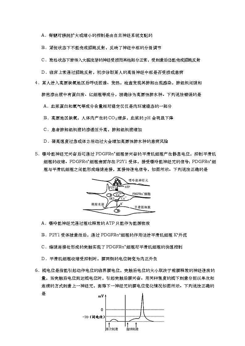 山东省青岛市2022-2023学年高二上学期期中考试生物试题第2页