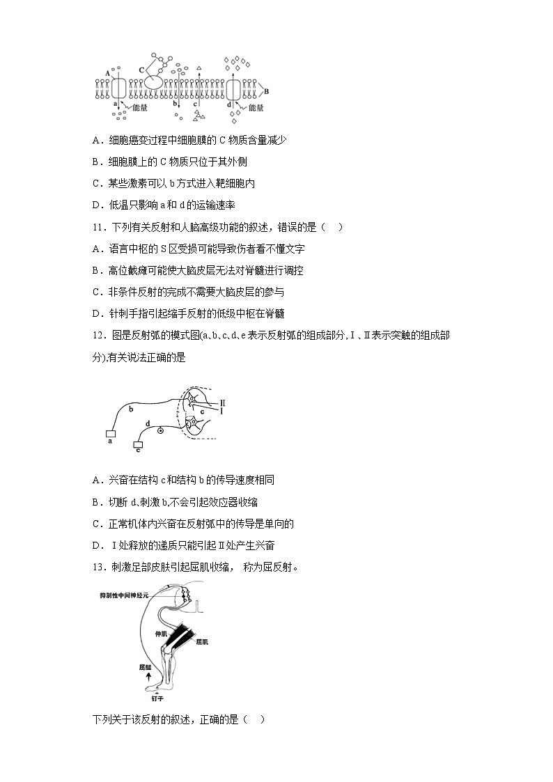 2023维吾尔自治区喀什地区伽师县高二上学期11月期中考试生物试题含答案03