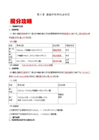 高中生物专题05 细胞呼吸和光合作用-备战2021年高考生物专题提分攻略（有答案）