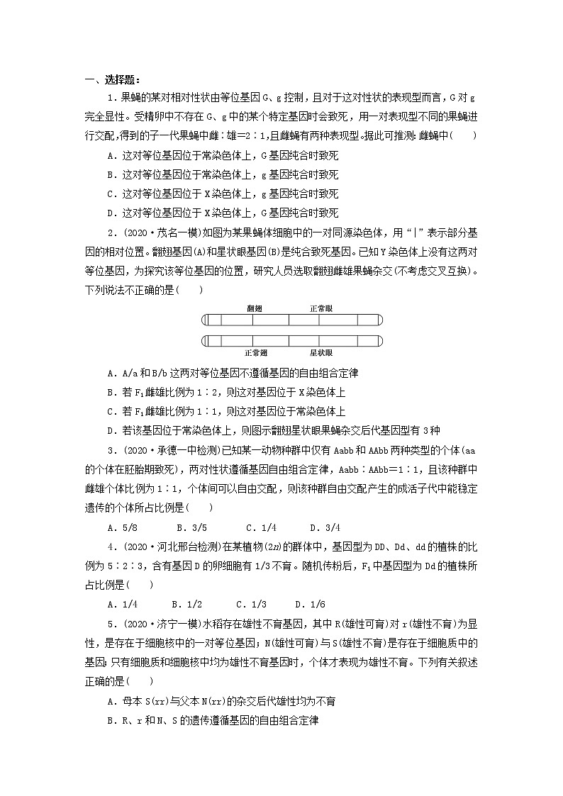 高中生物专题05 遗传中的致死问题-备战2021年高考生物核心考点透析（无答案）03