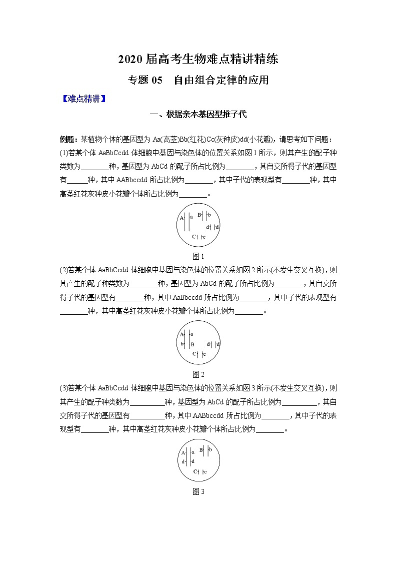 高中生物专题05 自由组合定律的应用（无答案）第1页