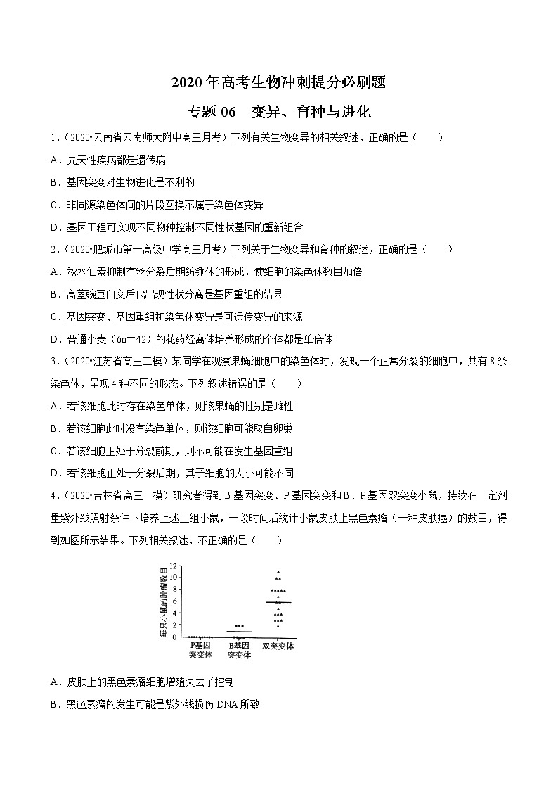 高中生物专题06 变异、育种与进化（无答案）第1页