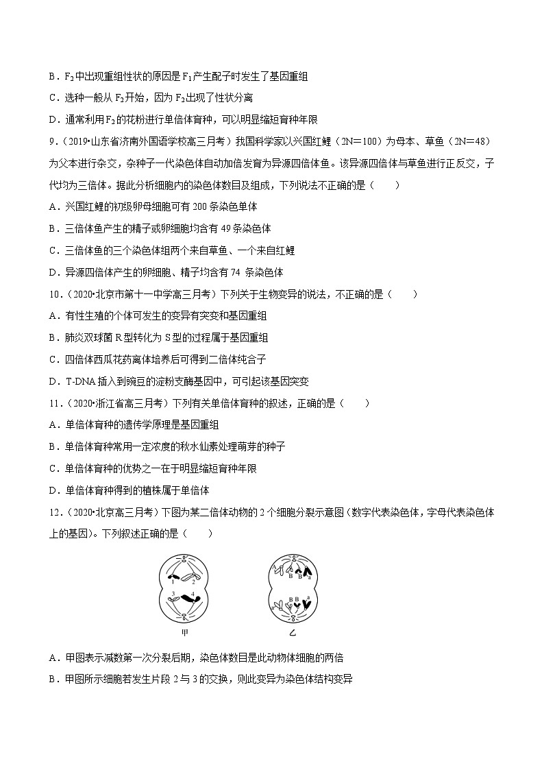 高中生物专题06 变异、育种与进化（无答案）第3页