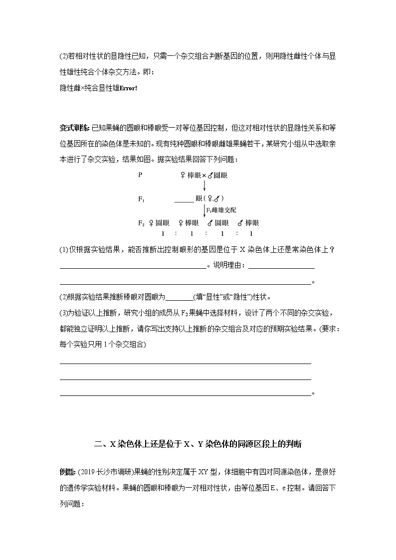 高中生物专题06 基因定位的实验设计（无答案）02