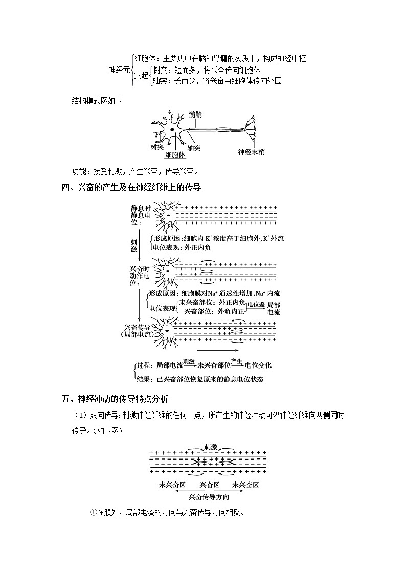 高中生物专题07 动物和人体生命活动调节的实验设计与探究-备战2021年高考生物核心考点透析（无答案）02