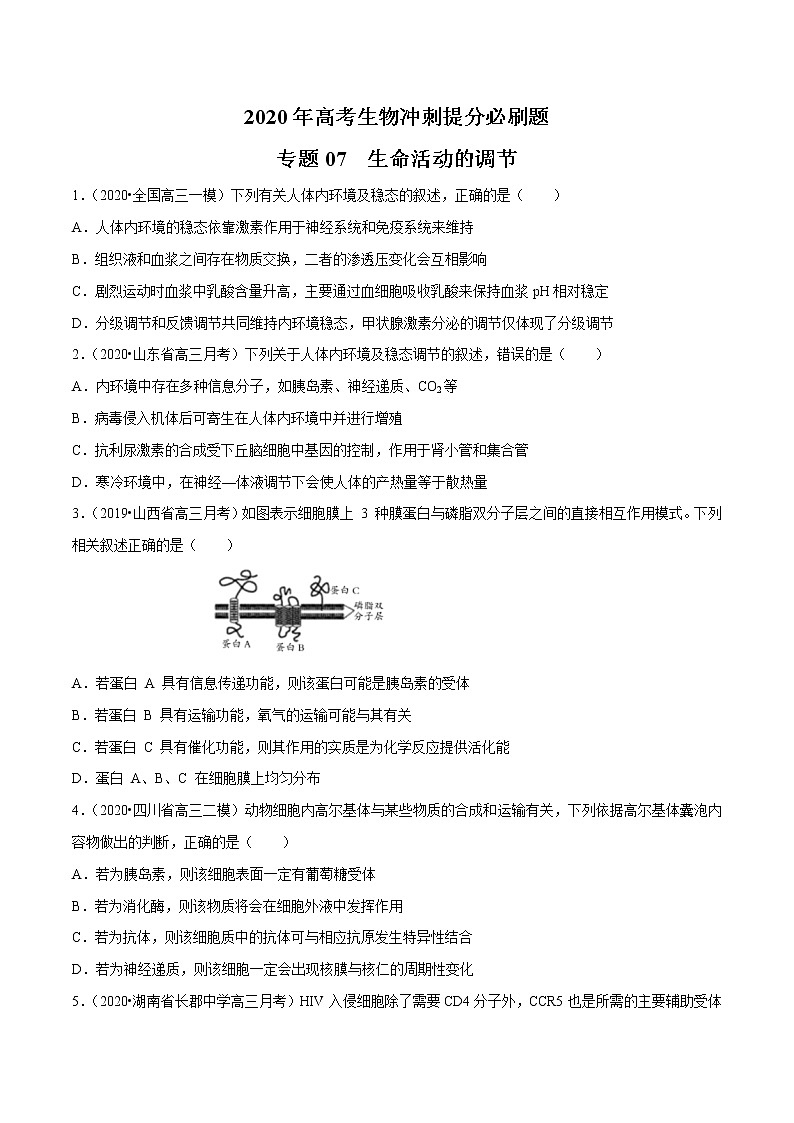 高中生物专题07 生命活动的调节（无答案）第1页