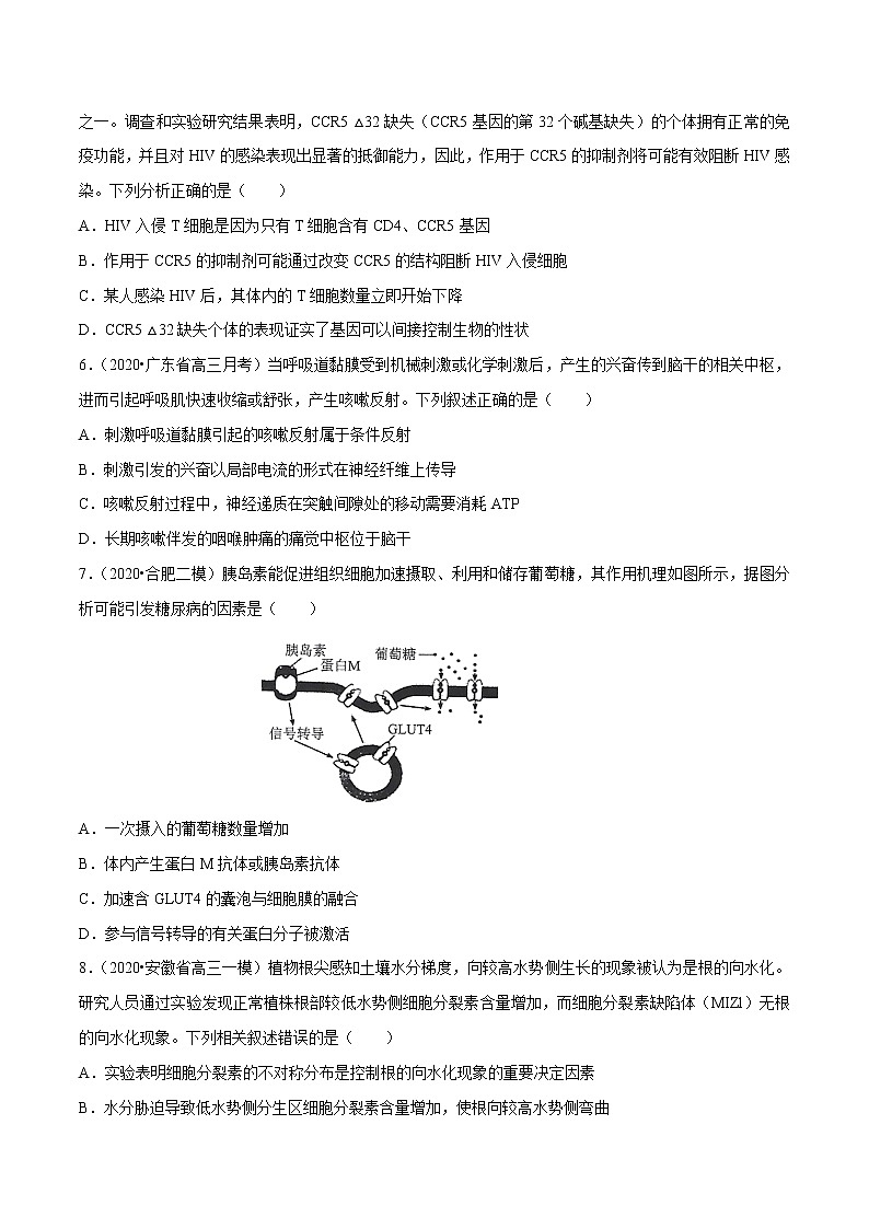 高中生物专题07 生命活动的调节（无答案）第2页