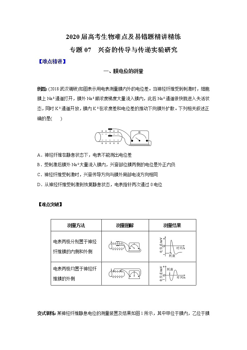 高中生物专题07 兴奋的传导与传递实验研究（无答案）01