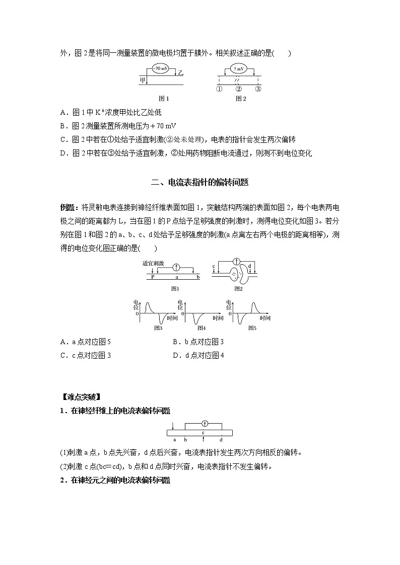 高中生物专题07 兴奋的传导与传递实验研究（无答案）02