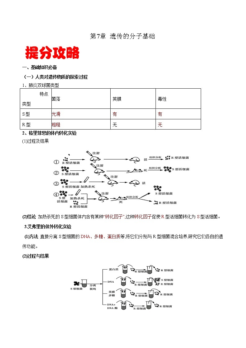 高中生物专题07 遗传的分子基础-备战2021年高考生物专题提分攻略（无答案）第1页