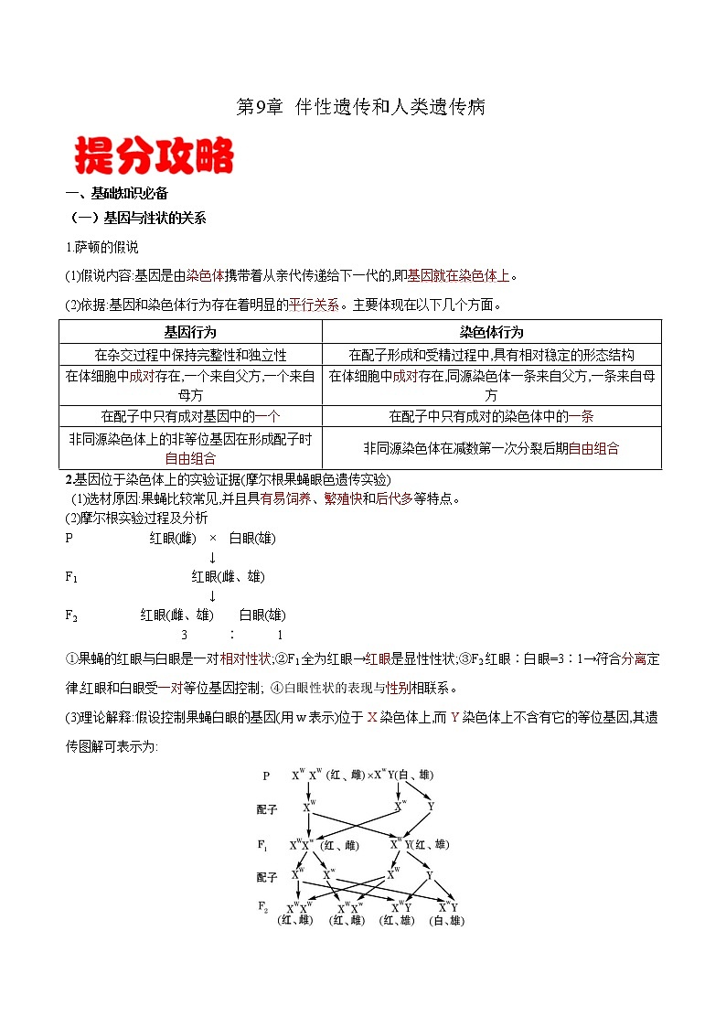 高中生物专题09 伴性遗传和人类遗传病-备战2021年高考生物专题提分攻略（有答案）01