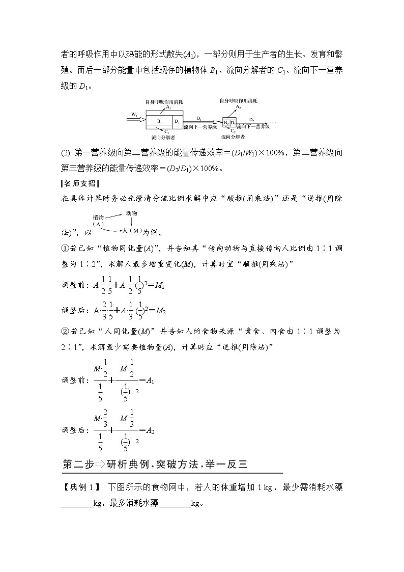 高中生物专题09 能量流动的相关计算-备战2021年高考生物核心考点透析（无答案）02