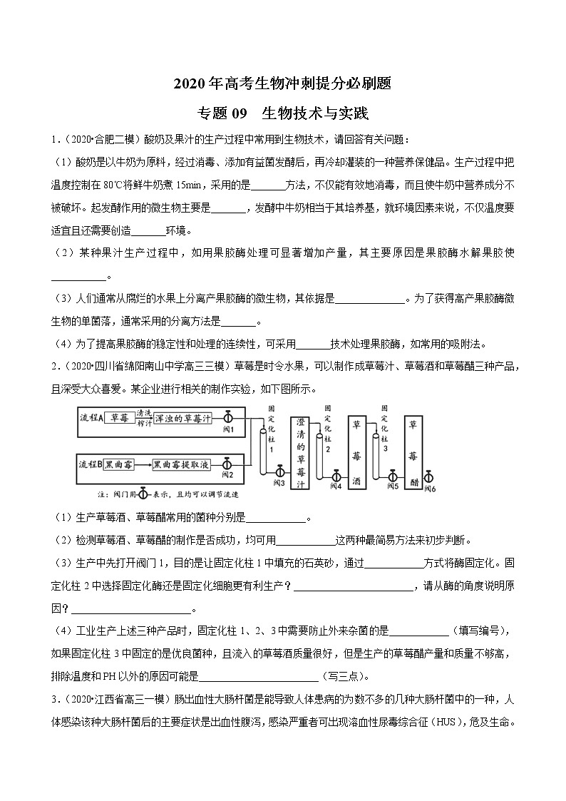 高中生物专题09 生物技术与实践（无答案）第1页