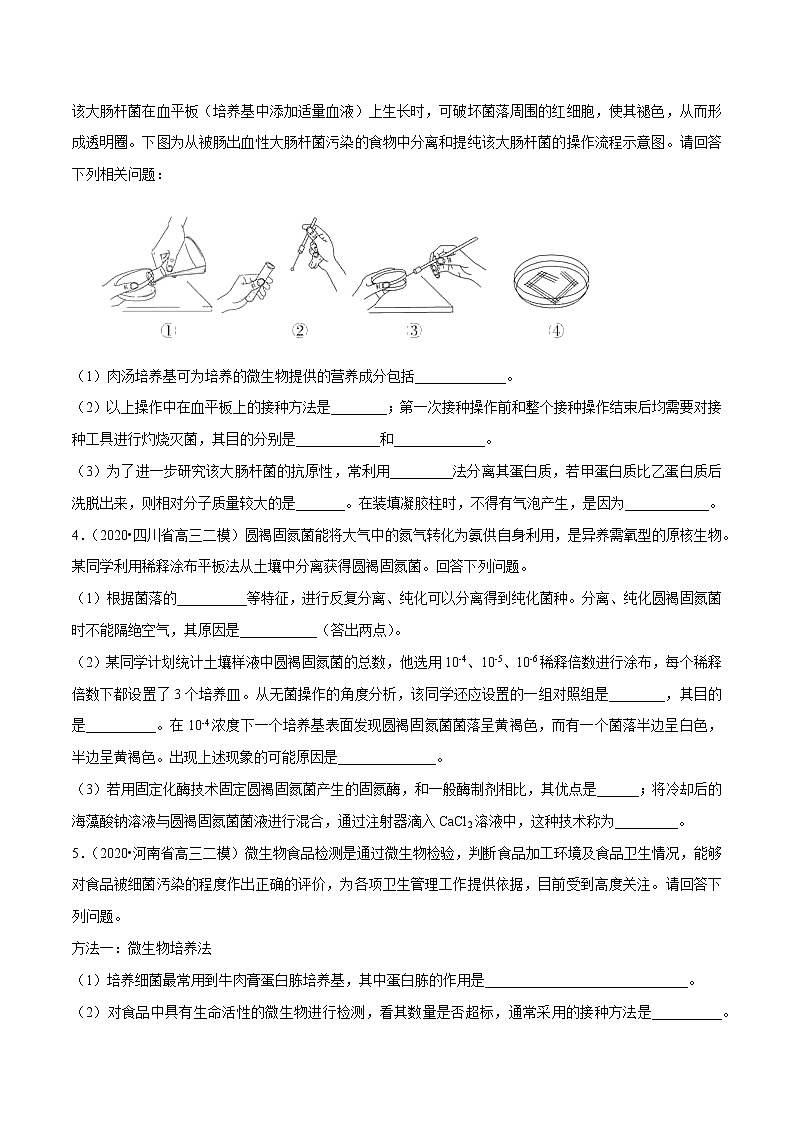 高中生物专题09 生物技术与实践（无答案）第2页