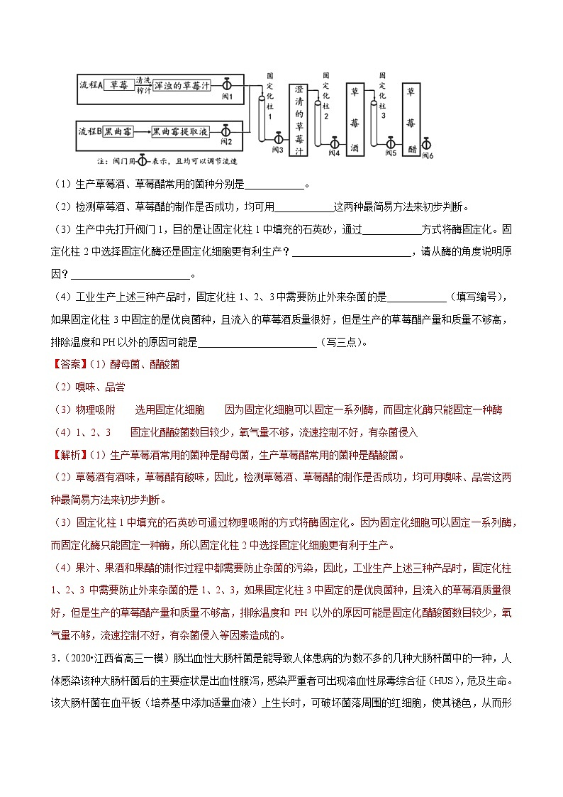 高中生物专题09 生物技术与实践（有答案）第2页