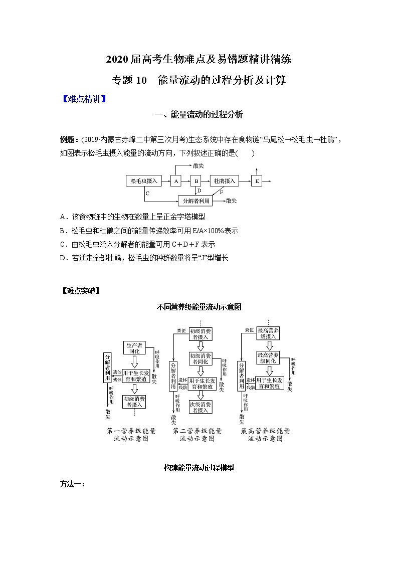 高中生物专题10 能量流动的过程分析及计算（无答案）01