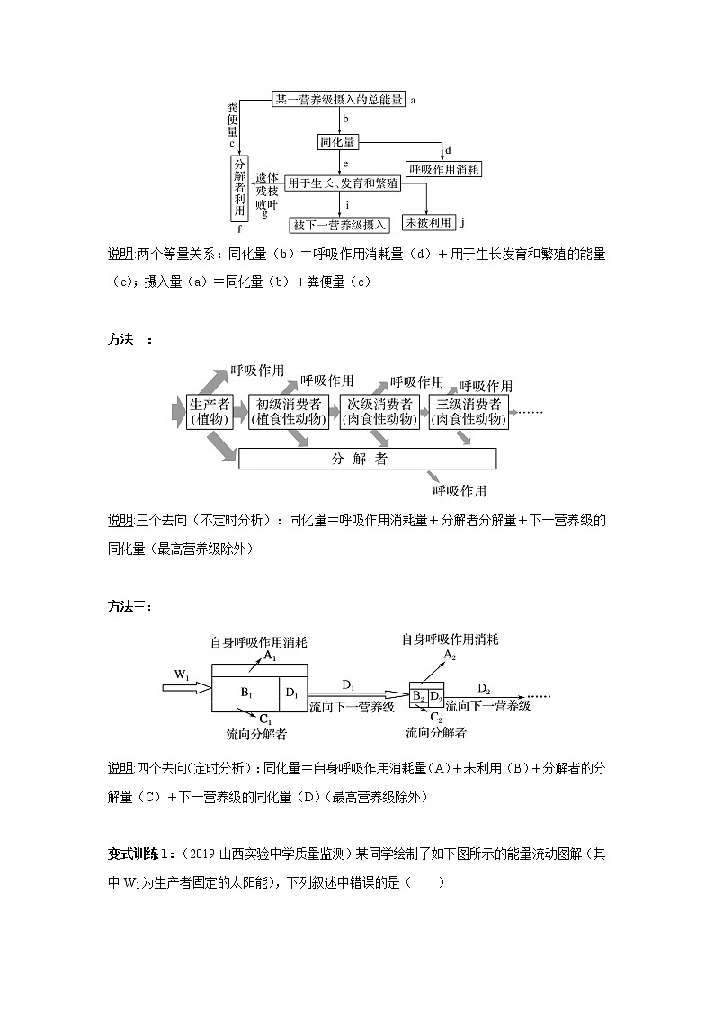 高中生物专题10 能量流动的过程分析及计算（无答案）02