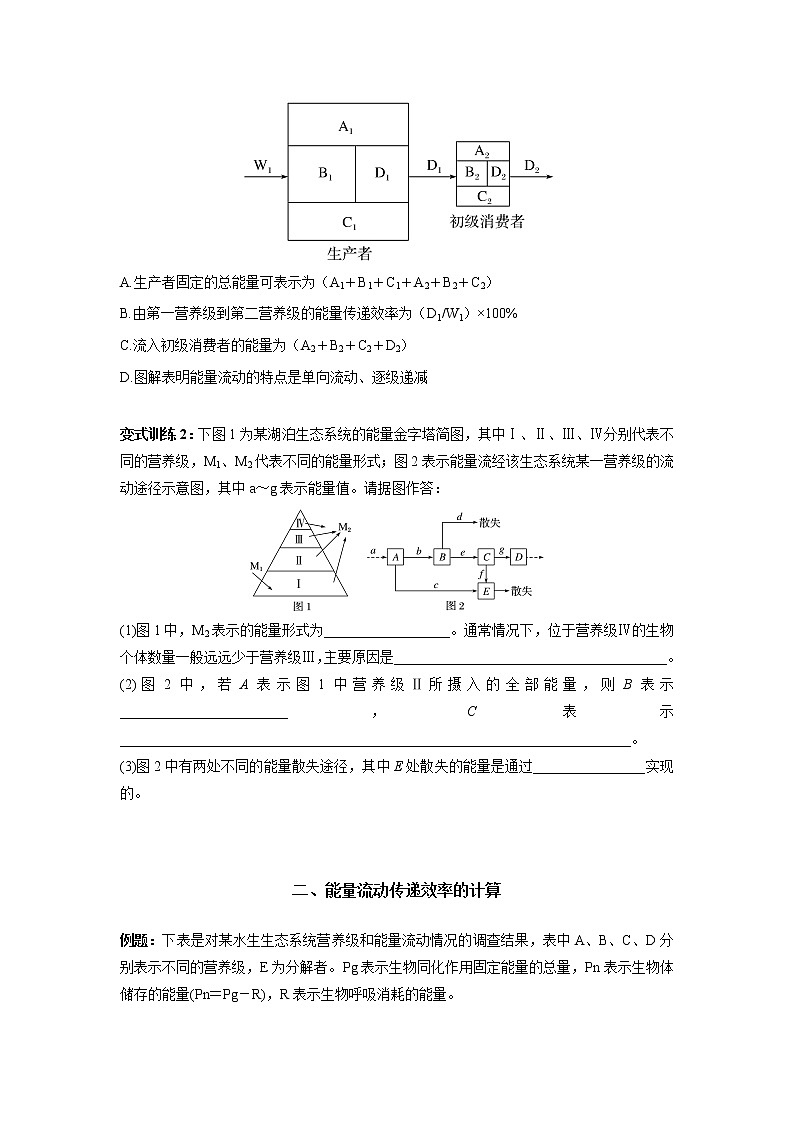 高中生物专题10 能量流动的过程分析及计算（无答案）03