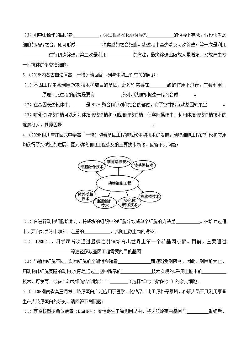 高中生物专题10 现代生物科技专题（无答案）02