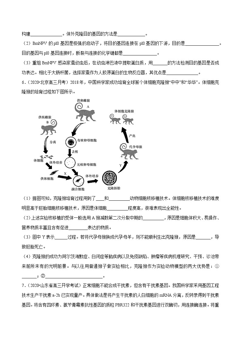 高中生物专题10 现代生物科技专题（无答案）03