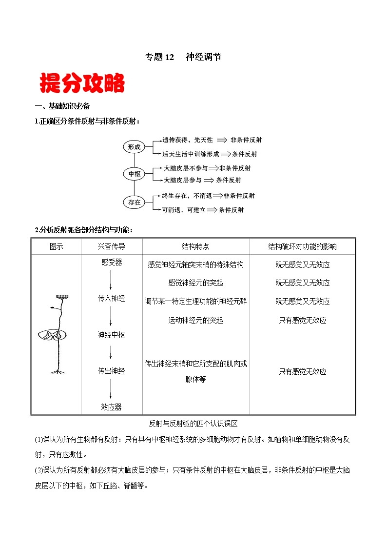 高中生物专题12 神经调节-备战2021年高考生物专题提分攻略（有答案）01