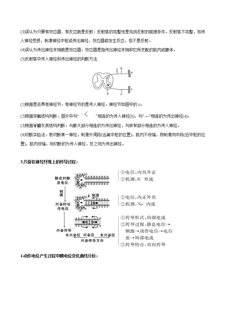 高中生物专题12 神经调节-备战2021年高考生物专题提分攻略（有答案）02
