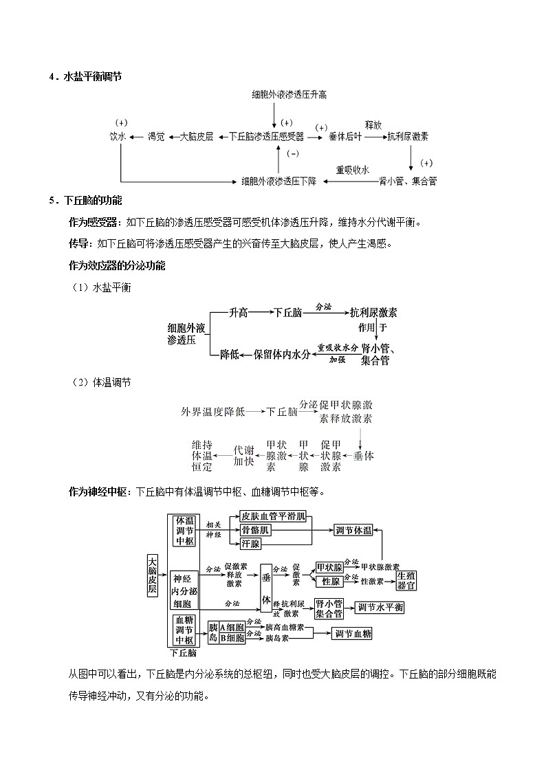 高中生物专题13 激素调节-备战2021年高考生物专题提分攻略（无答案）第2页