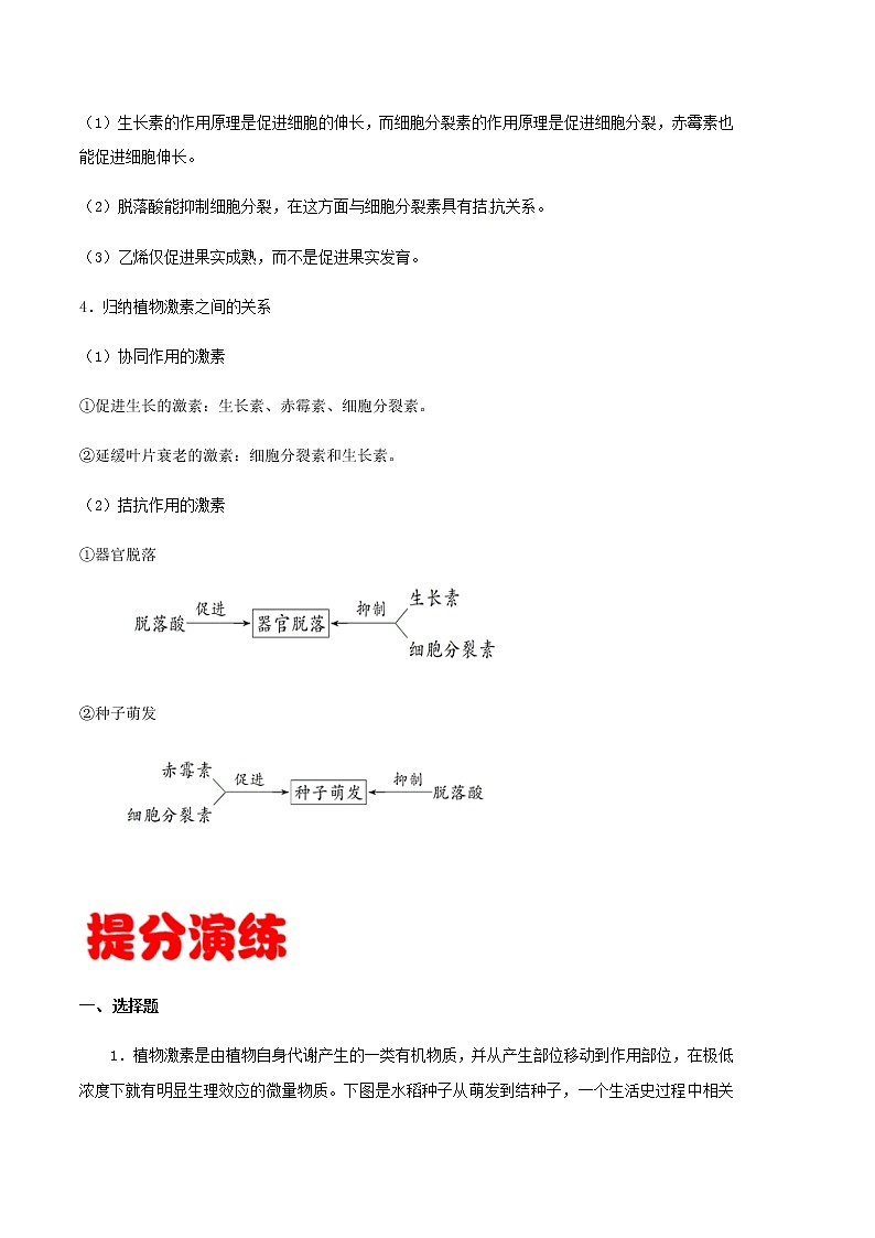高中生物专题15 植物的激素调节-备战2021年高考生物专题提分攻略（有答案）第2页
