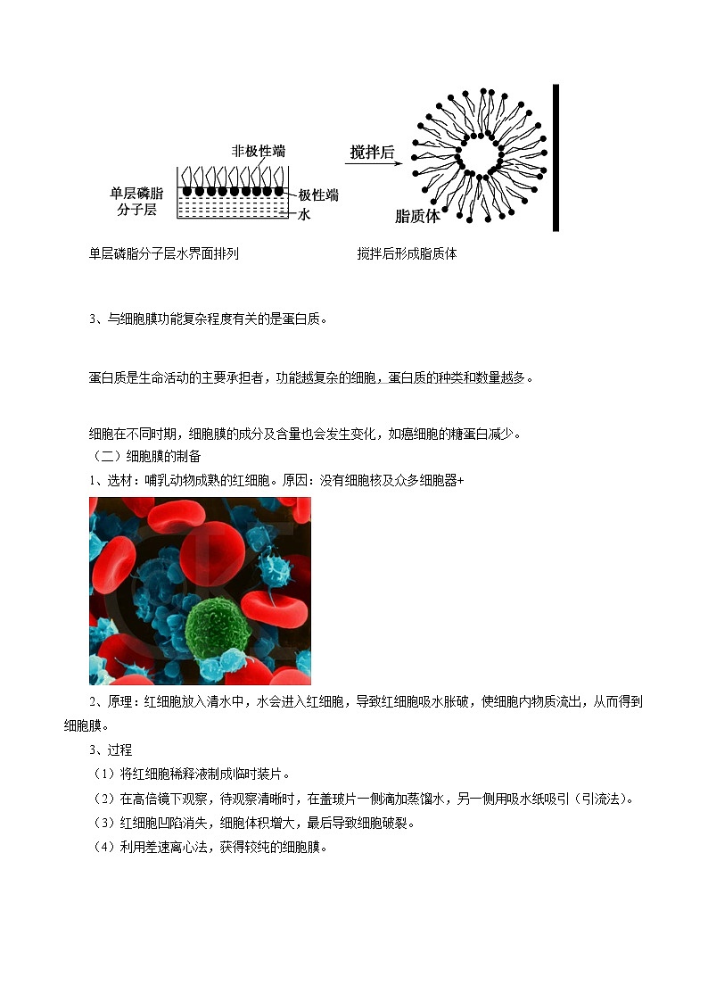 高中生物专题03 细胞的基本结构-2021年高考生物一轮复习知识点梳理与归纳第2页