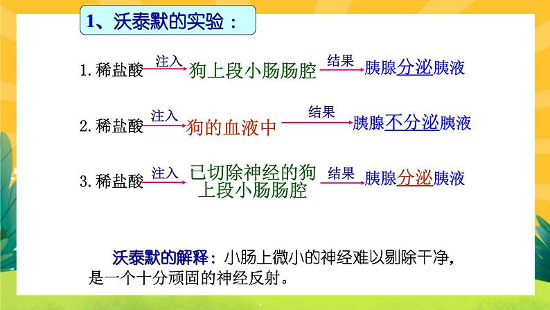 3.1激素与内分泌系统（课件PPT）03