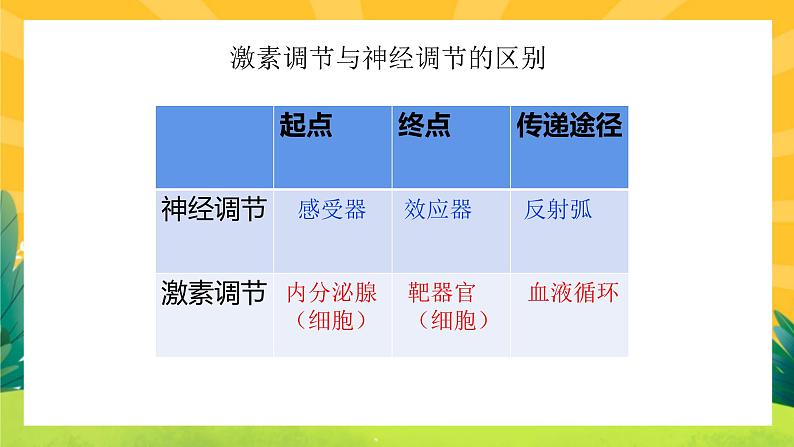 3.1激素与内分泌系统（课件PPT）05