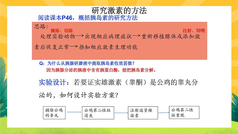 3.1激素与内分泌系统（课件PPT）08