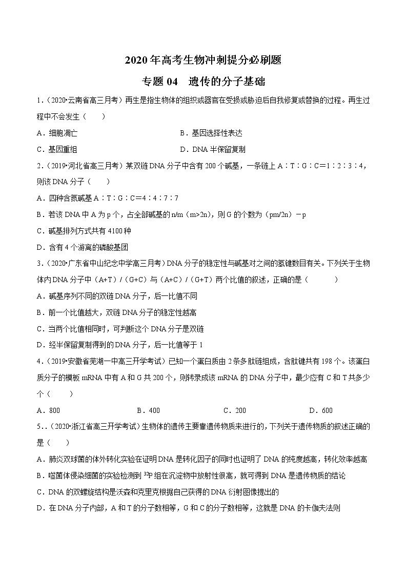 高中生物一轮复习专题04 遗传的分子基础（无答案）第1页