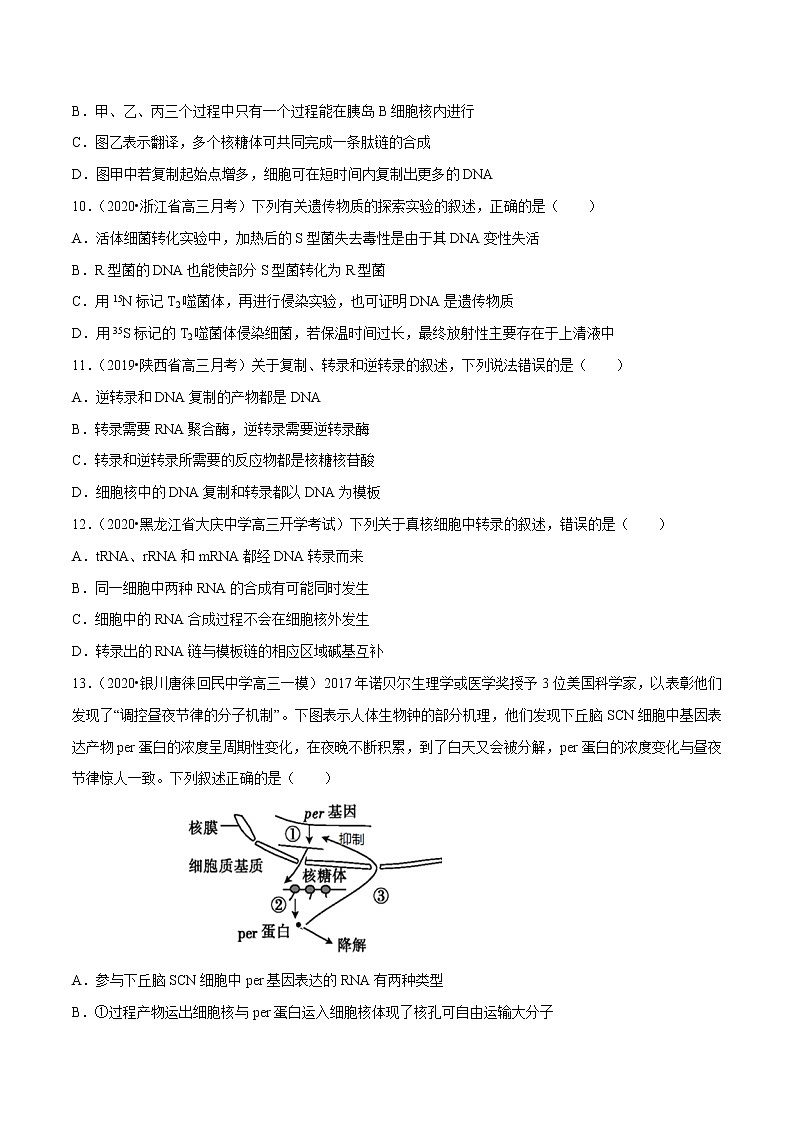 高中生物一轮复习专题04 遗传的分子基础（无答案）第3页