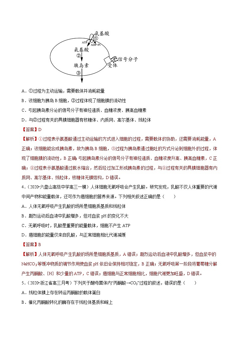高中生物一轮复习专题02 细胞代谢（有答案）第2页