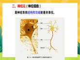 2.1神经调节的结构基础（课件PPT）