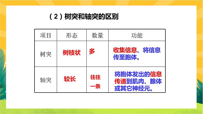 2.1神经调节的结构基础（课件PPT）第8页